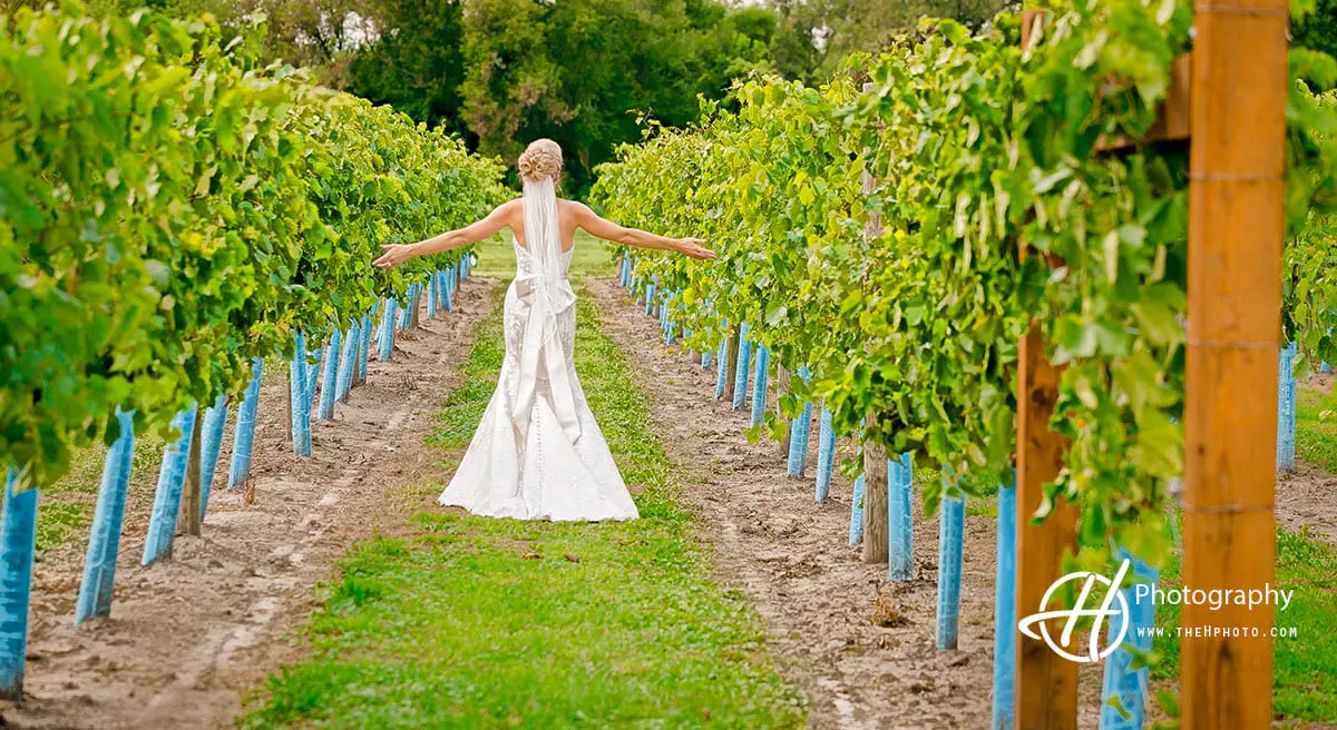 bride-in-winery