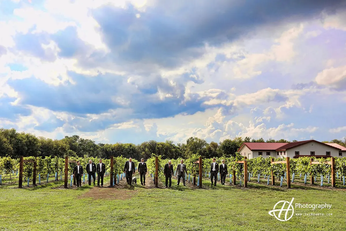 blue-sky-at-the-winery