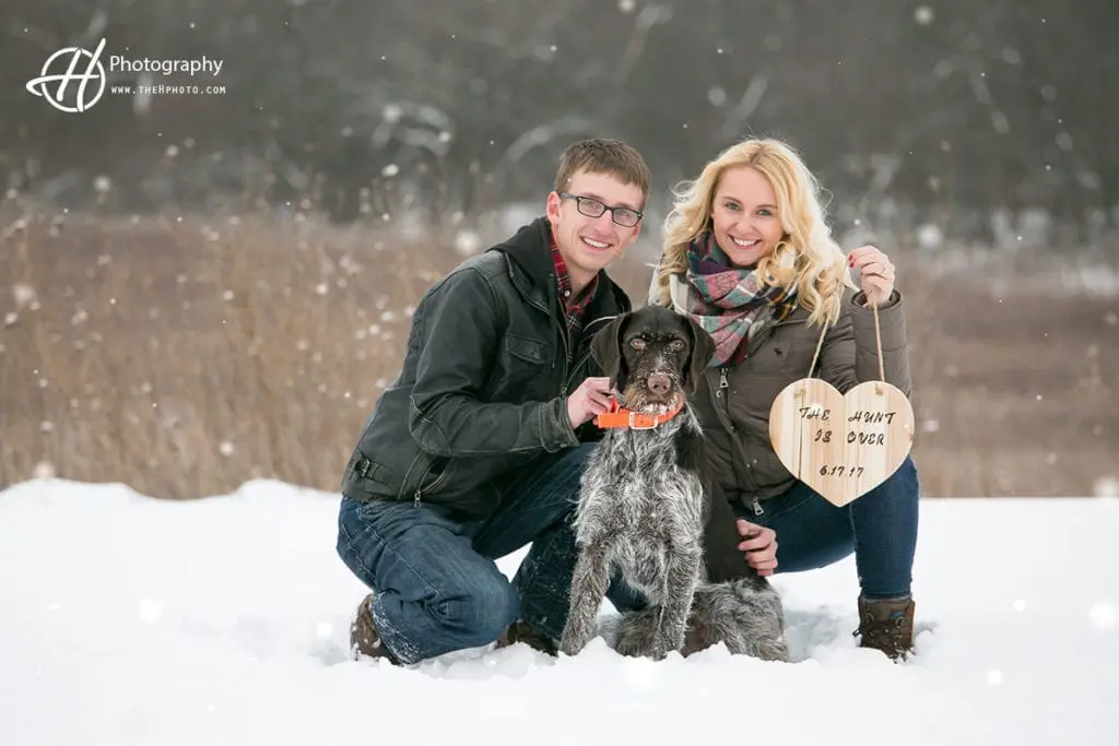 dog-incorporated-photo-session