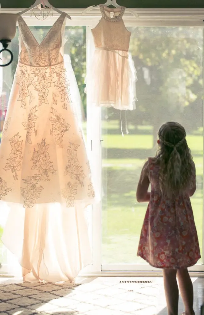 David's Bridal Wedding dress