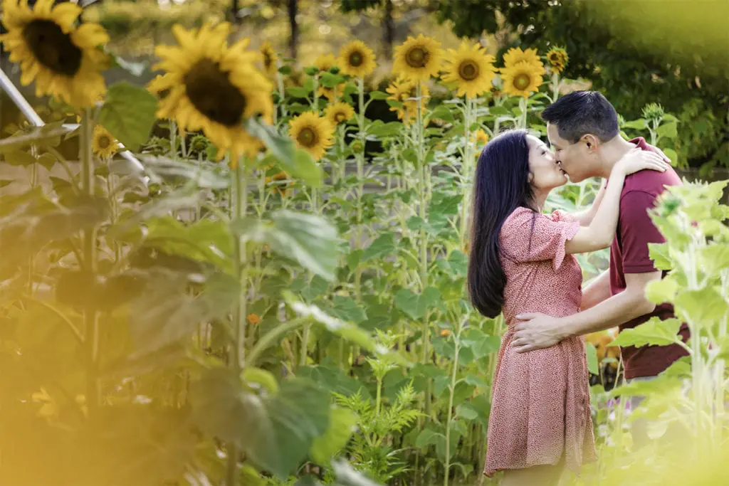 Sunflowers at engagement engagement in sunflower field