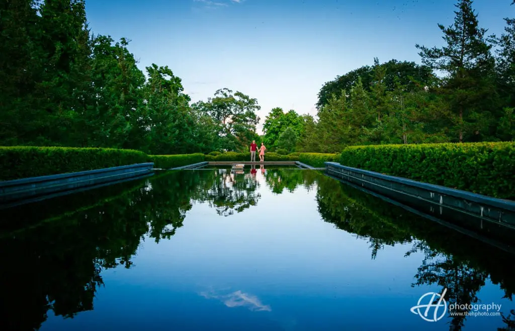 solitude of the lake the fountain