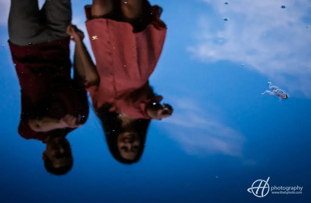 spotted a frog the frog