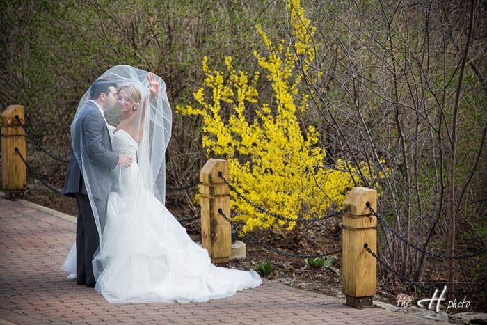 Emily kissing Frank under her beautiful veil 
