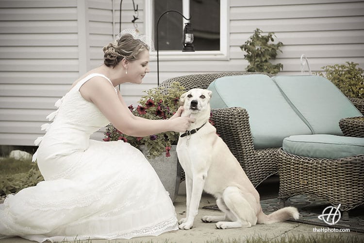 bride-and-dog