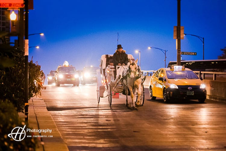 horse-carriage-night-chicago