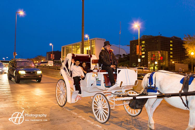 night-ride-Chicago-horse-carriage