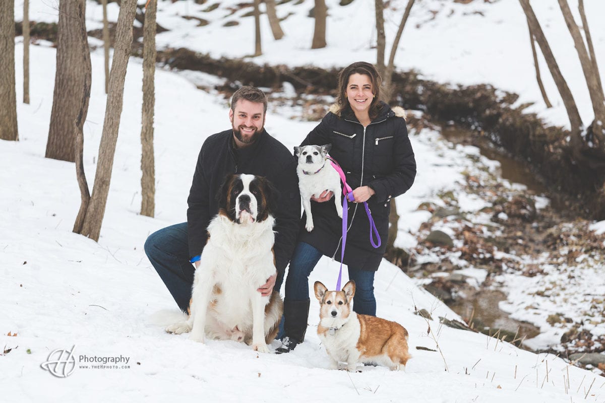 dogs-at-engagement-session