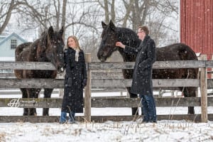 horse-winter-engagement