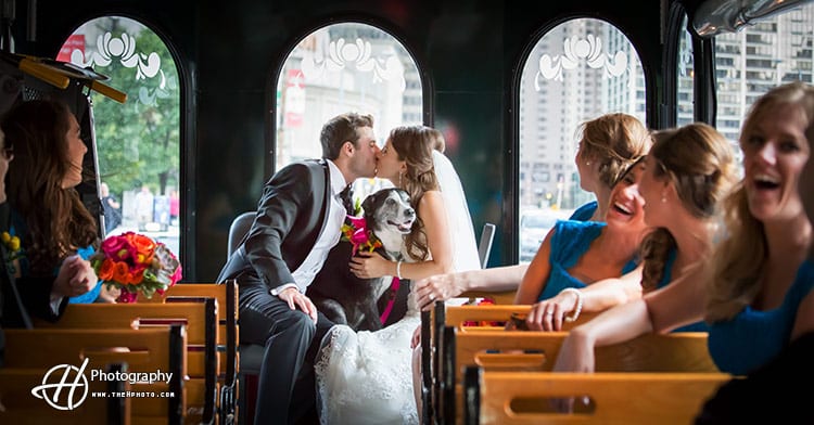wedding-party-dog