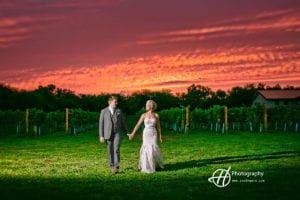 DC-Estate-Winery-Wedding