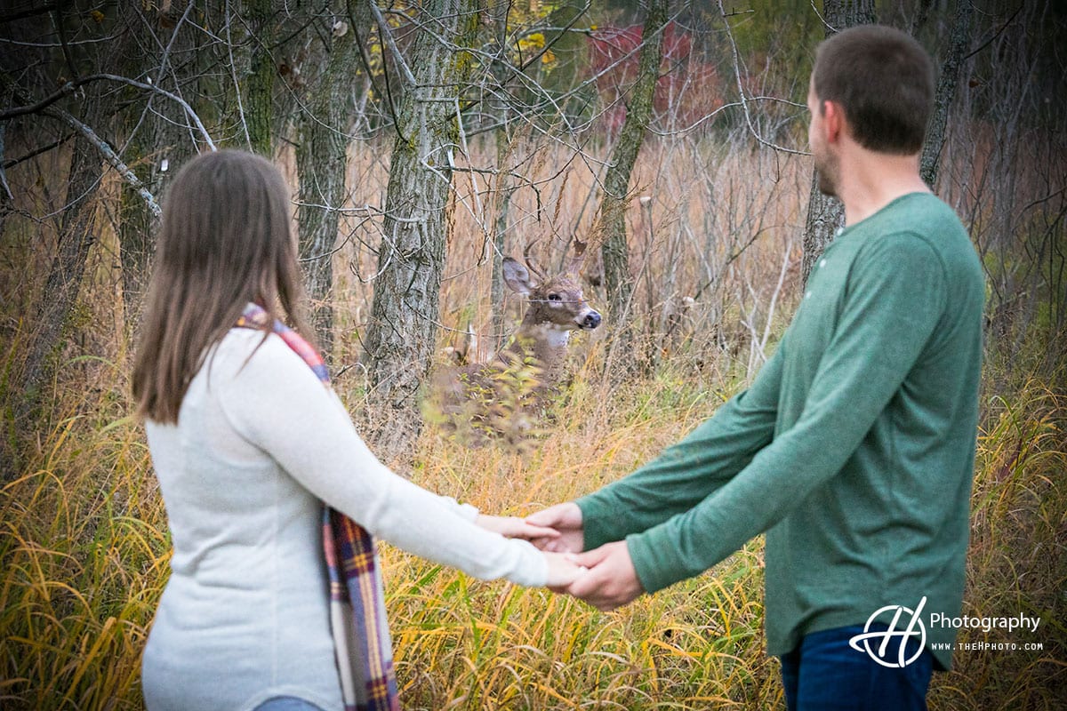 deer-looking-engaged-couple