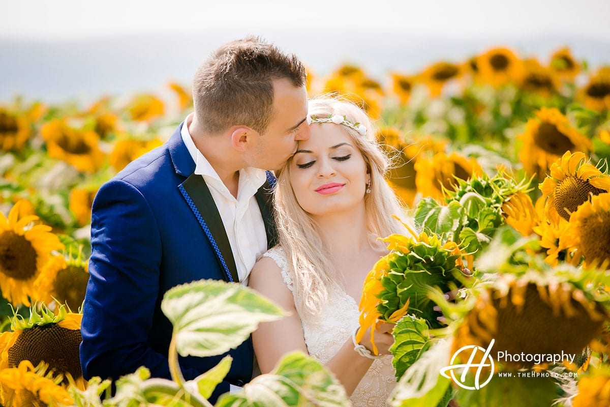 Sunflower and wedding photo.