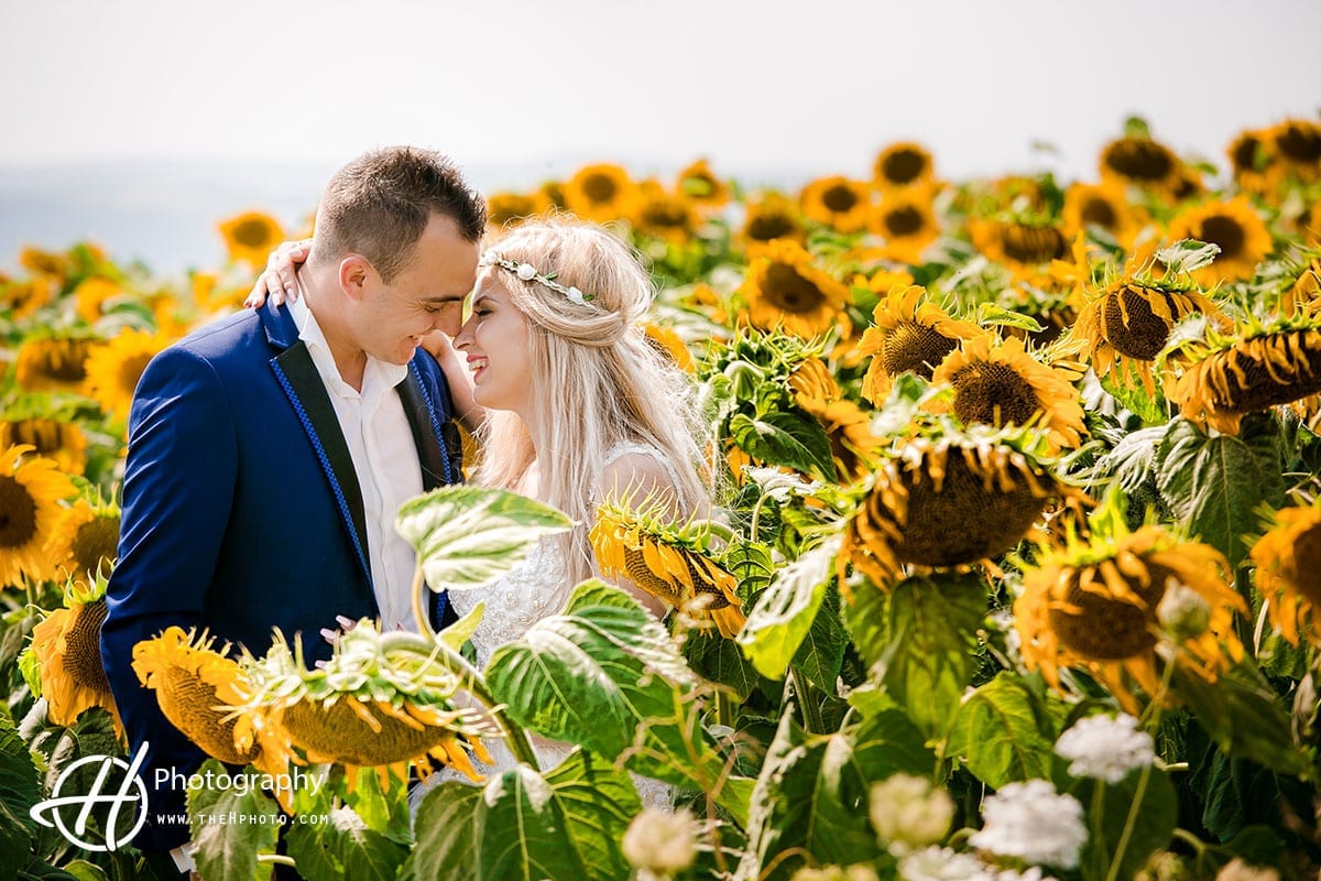Bride and groom kissing over a field of sunflowers.