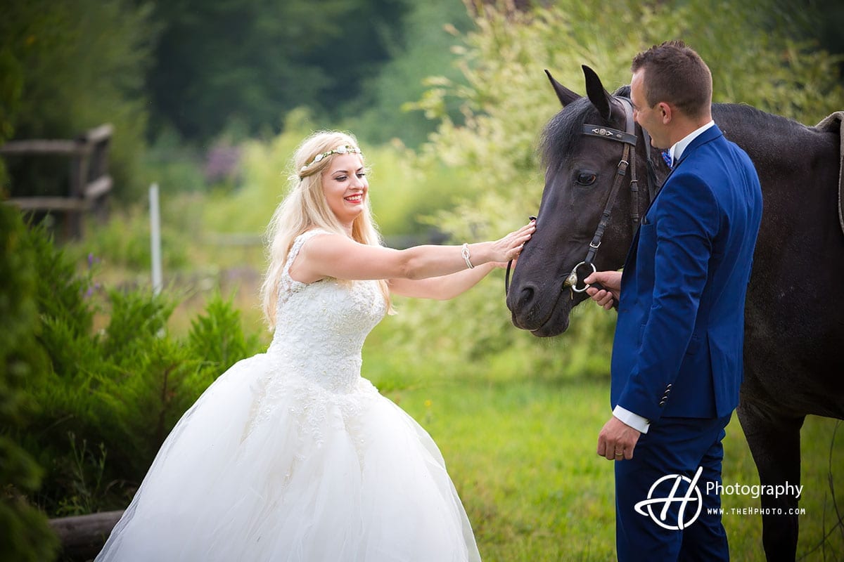 Horse included in wedding photo shoot.
