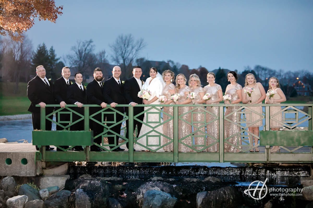 bridal party on the bridge 