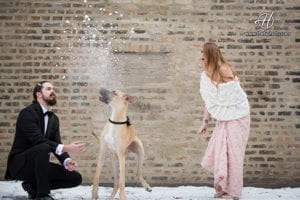 How to Include Your Dog in Your Engagement Photos
