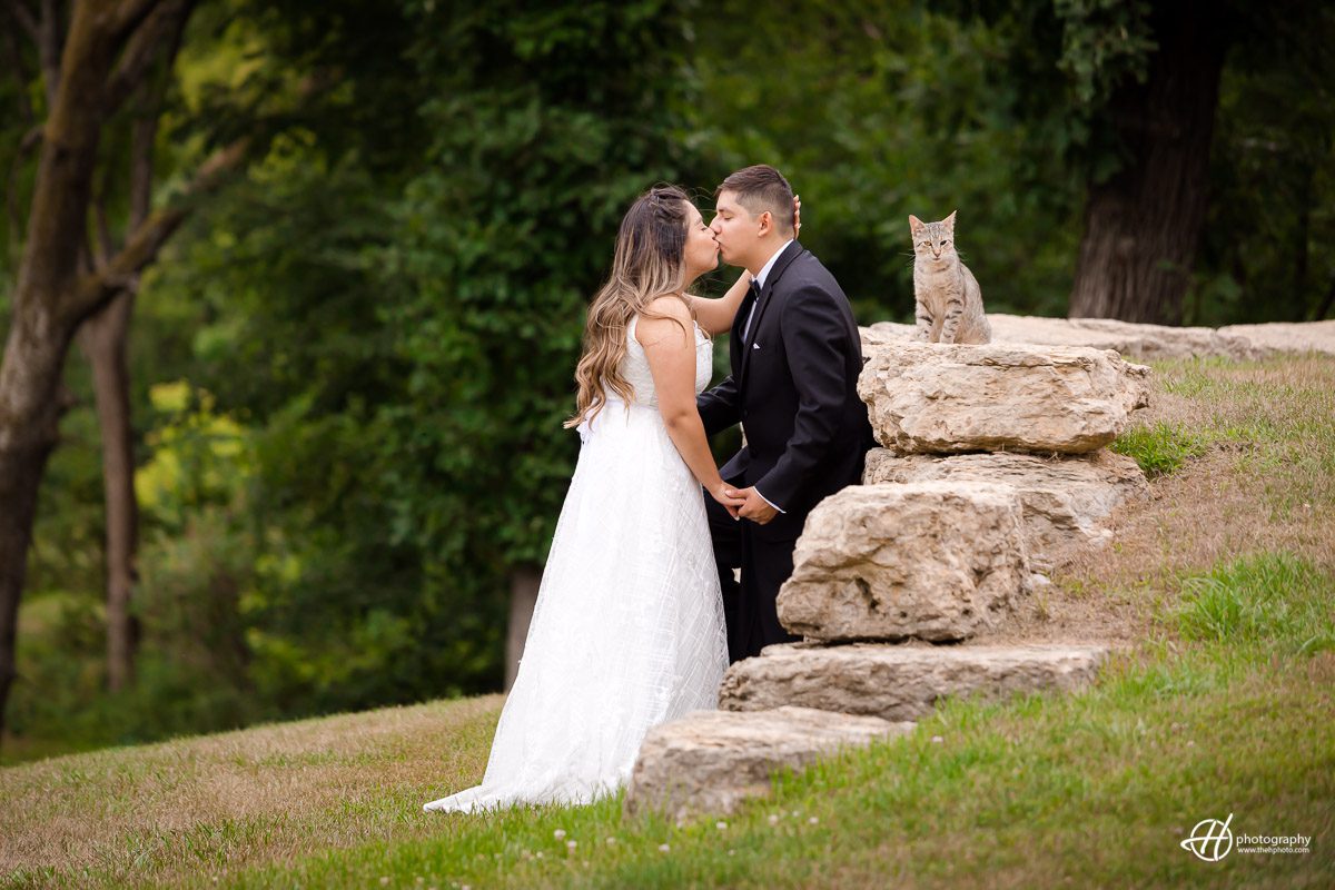 cat and weddings 
