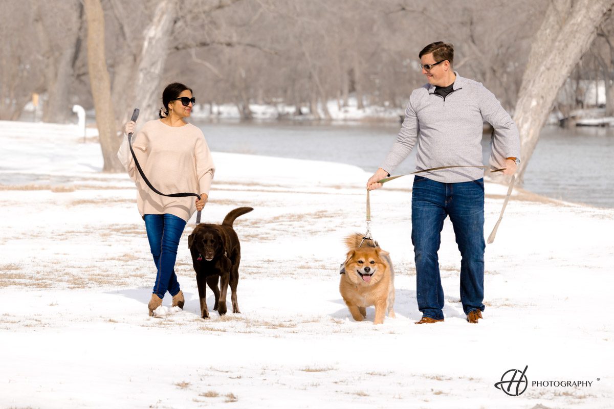 dogs-engagement-photos